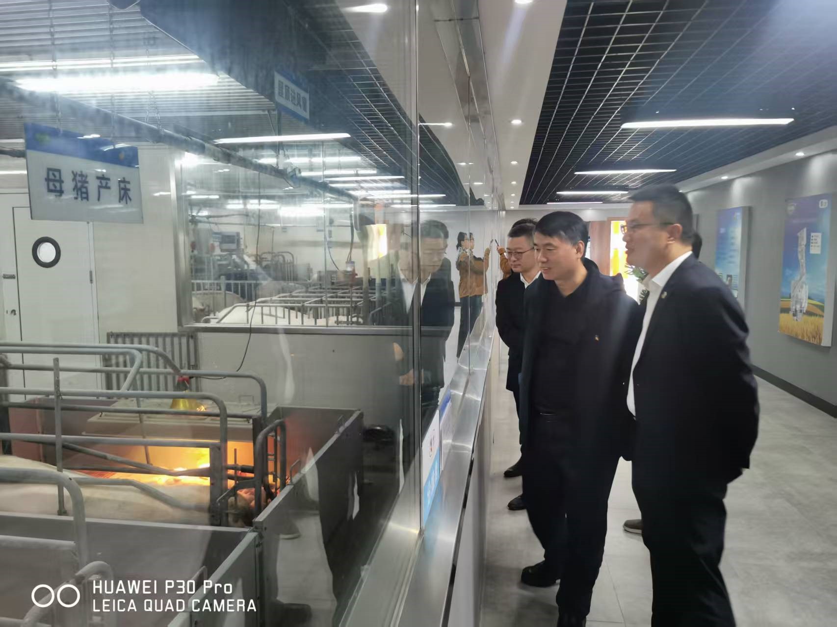 20251030002.jpg 20251030002.jpg