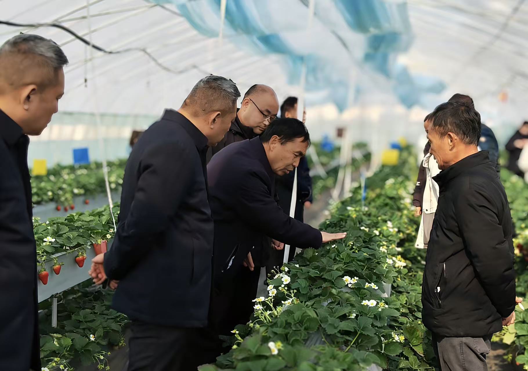 33191cc21110e71def484d7d43813a65.jpg 33191cc21110e71def484d7d43813a65.jpg