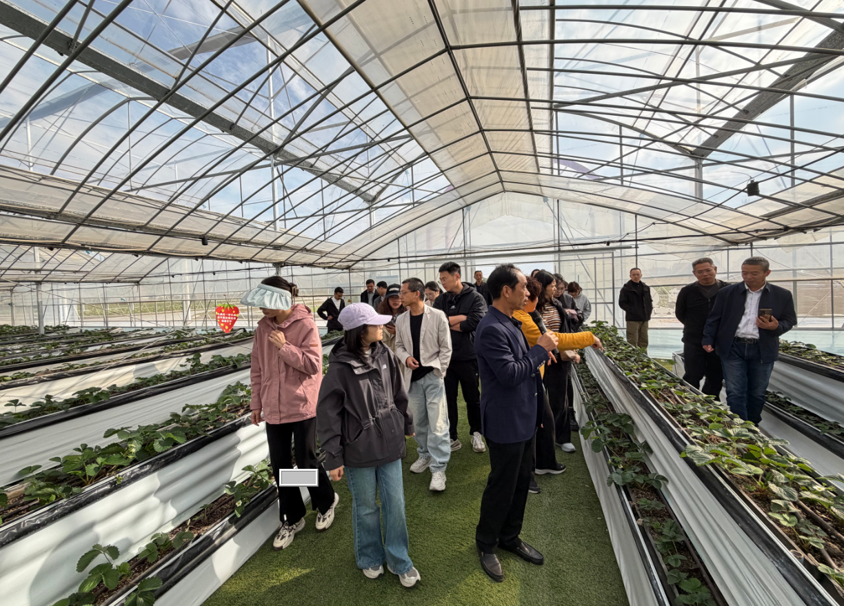 20251114001.png 20251114001.png