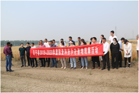 盐城市农业农村局 地方之窗 阜宁县组织技术指导员观摩粮食示范基地