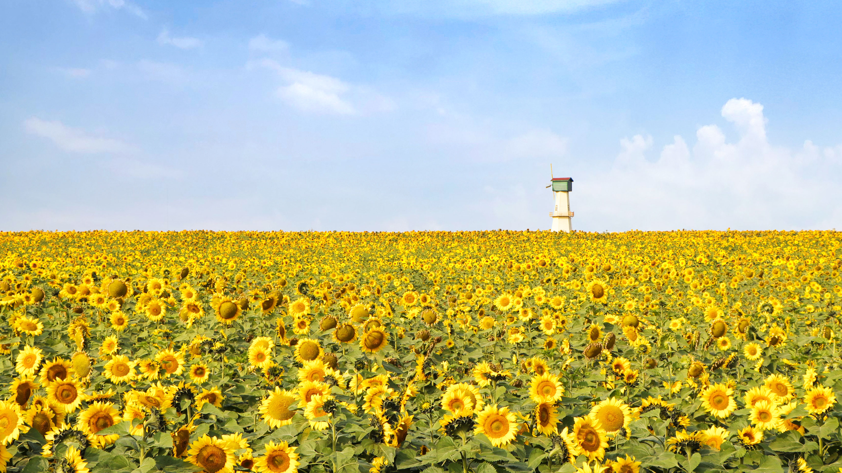 盐都3.jpg 盐都3.jpg