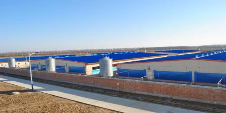 202511-06003.jpg 202511-06003.jpg