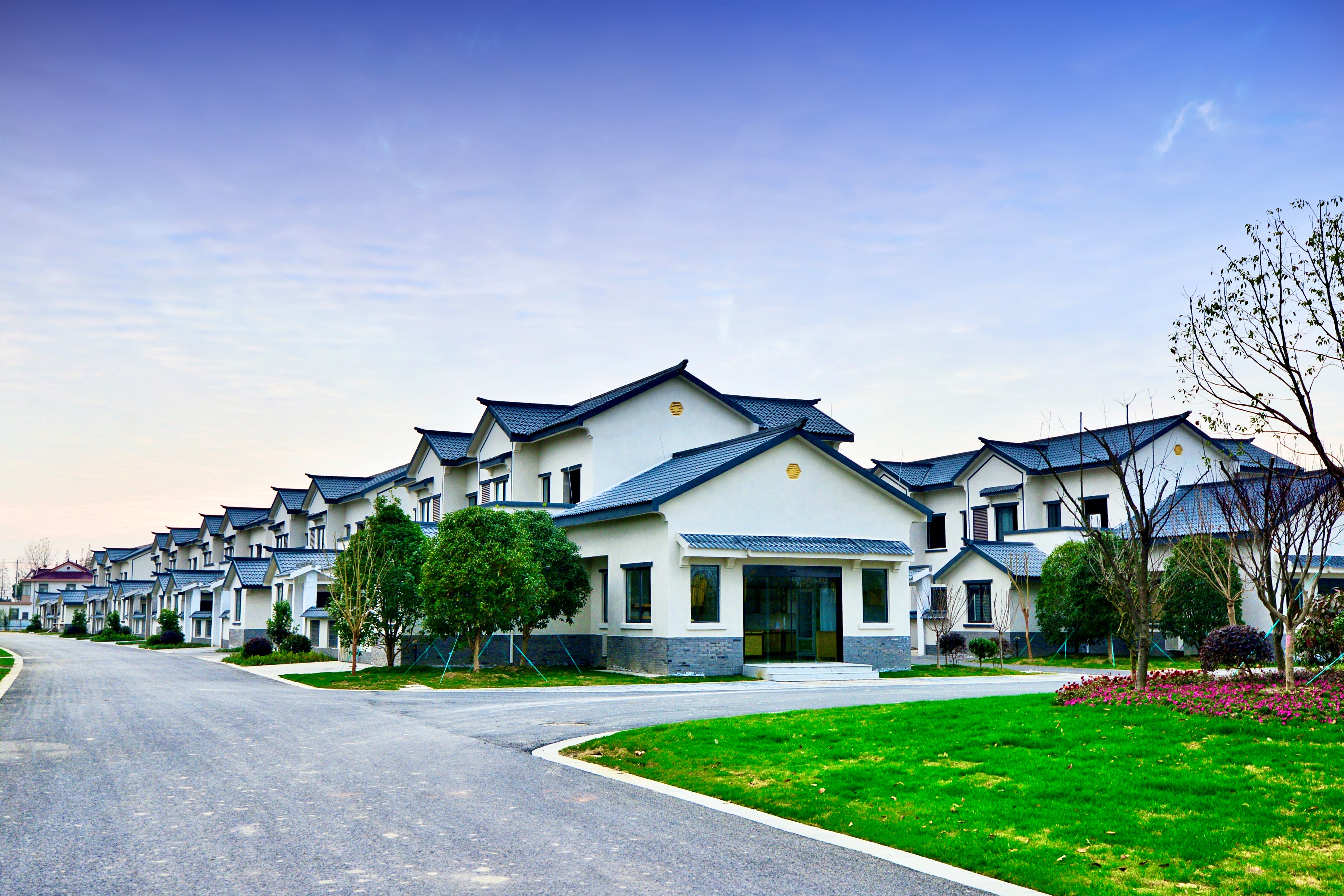 20240219003.jpg 20240219003.jpg