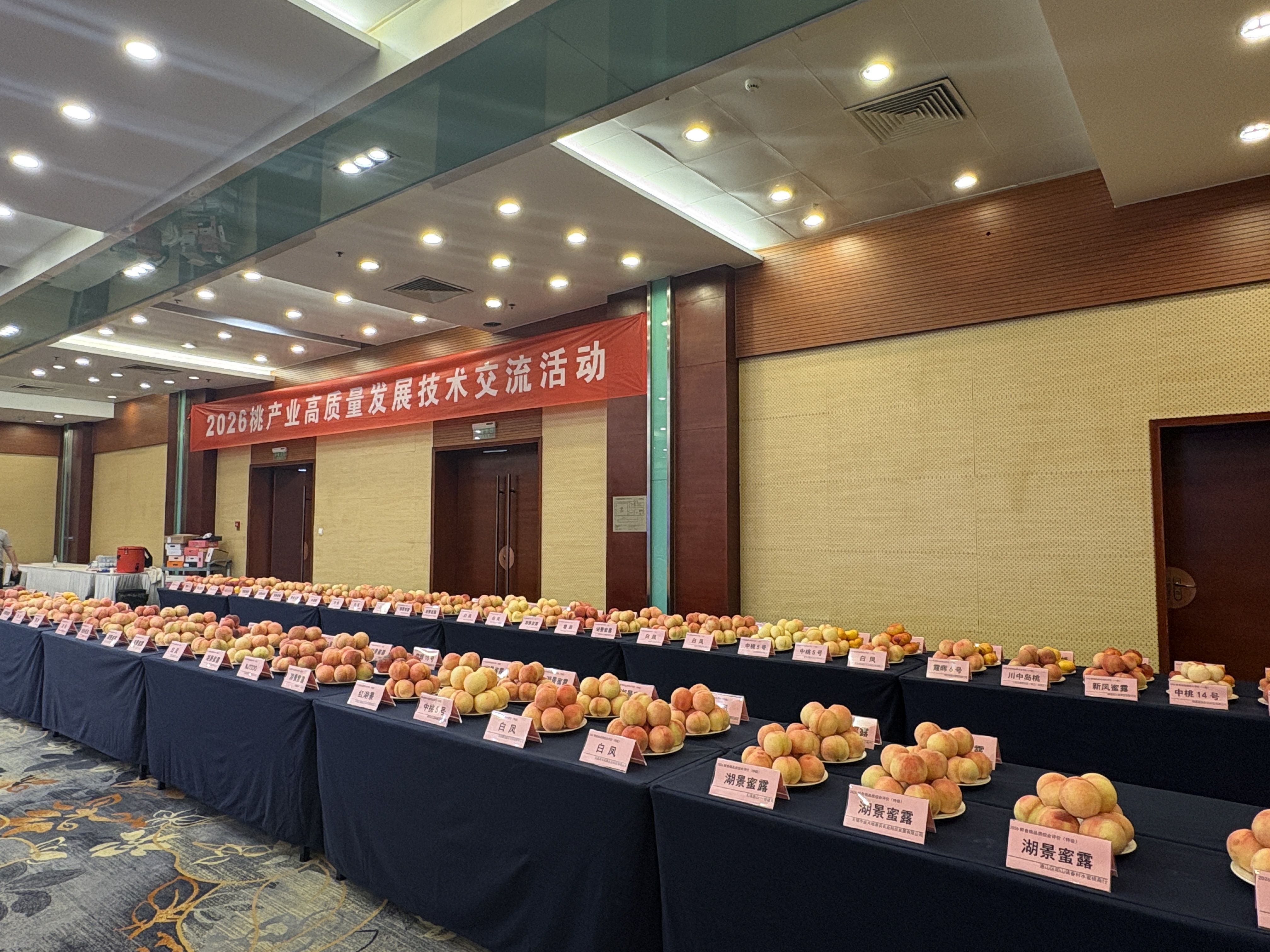 活动现场.jpg 活动现场.jpg