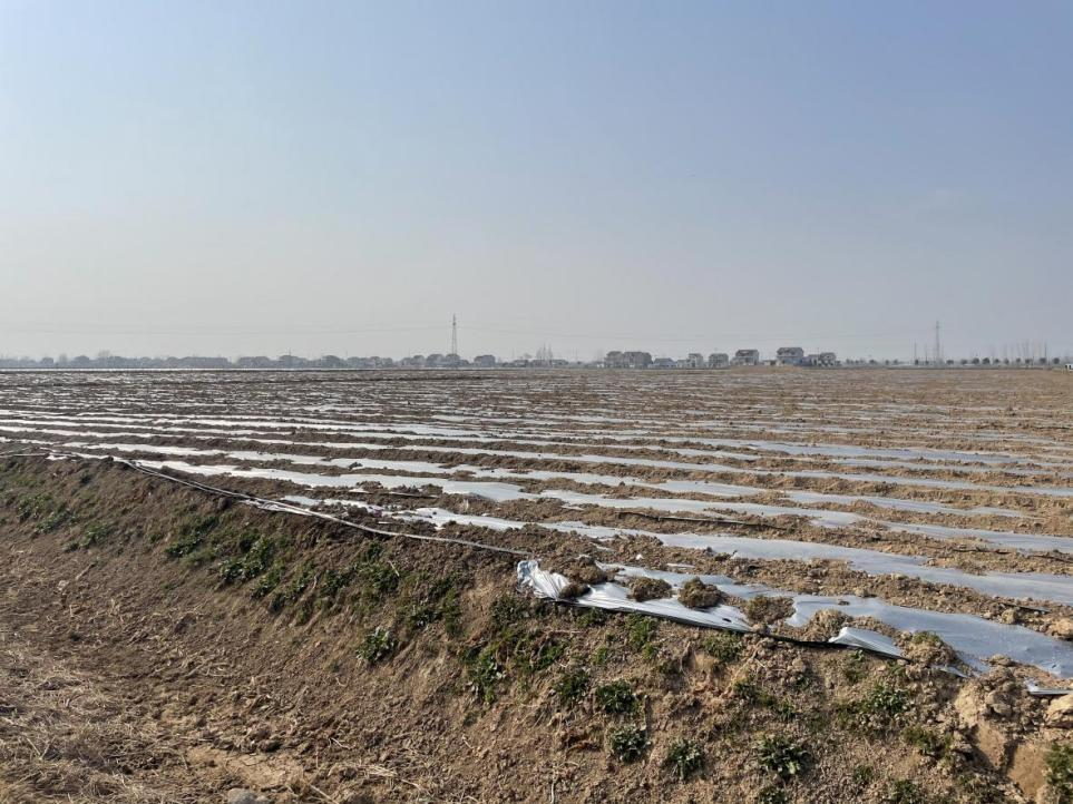 20260224003.png 20260224003.png