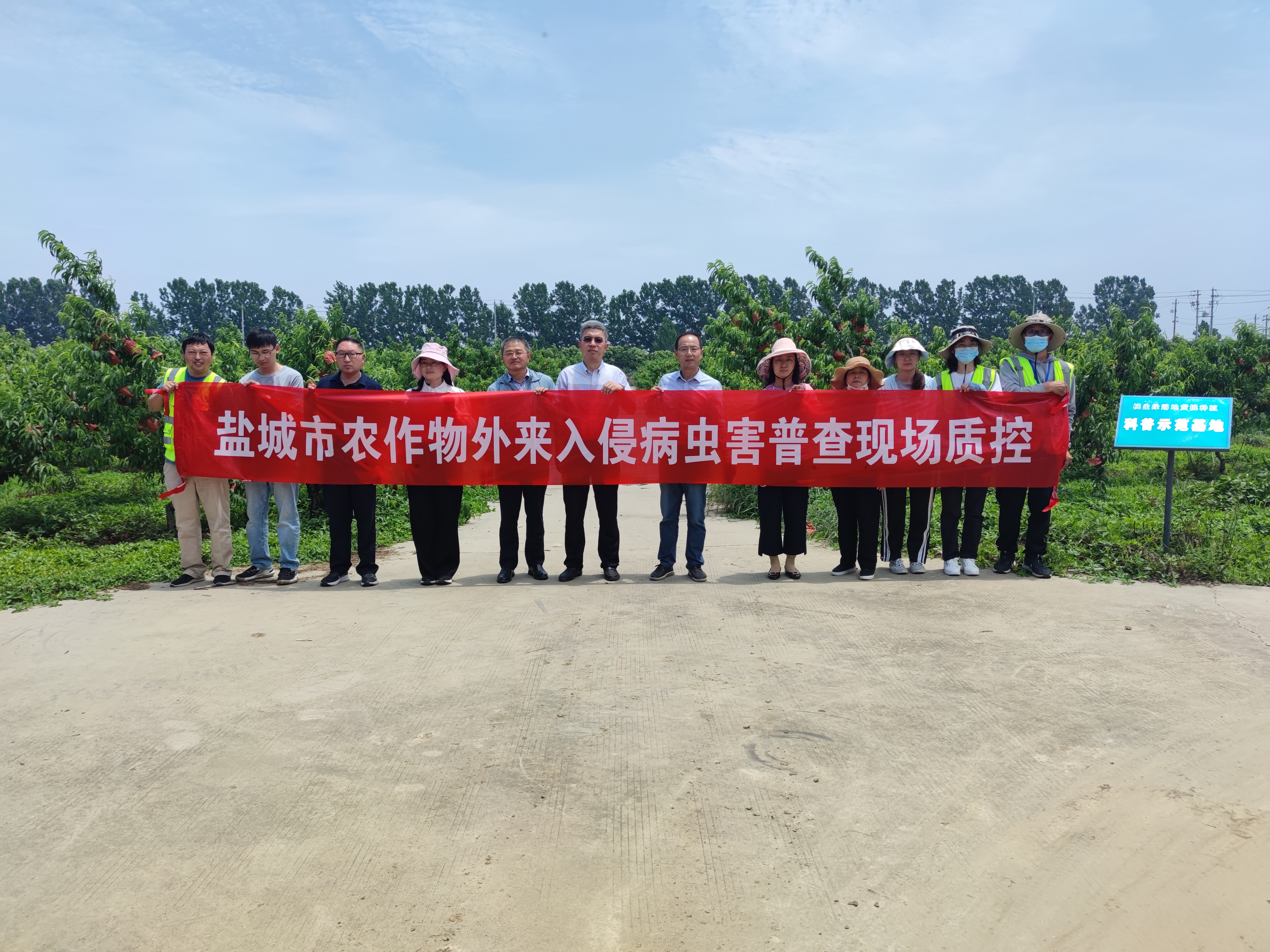 _20230609123454外来入侵病虫害普查质控.jpg