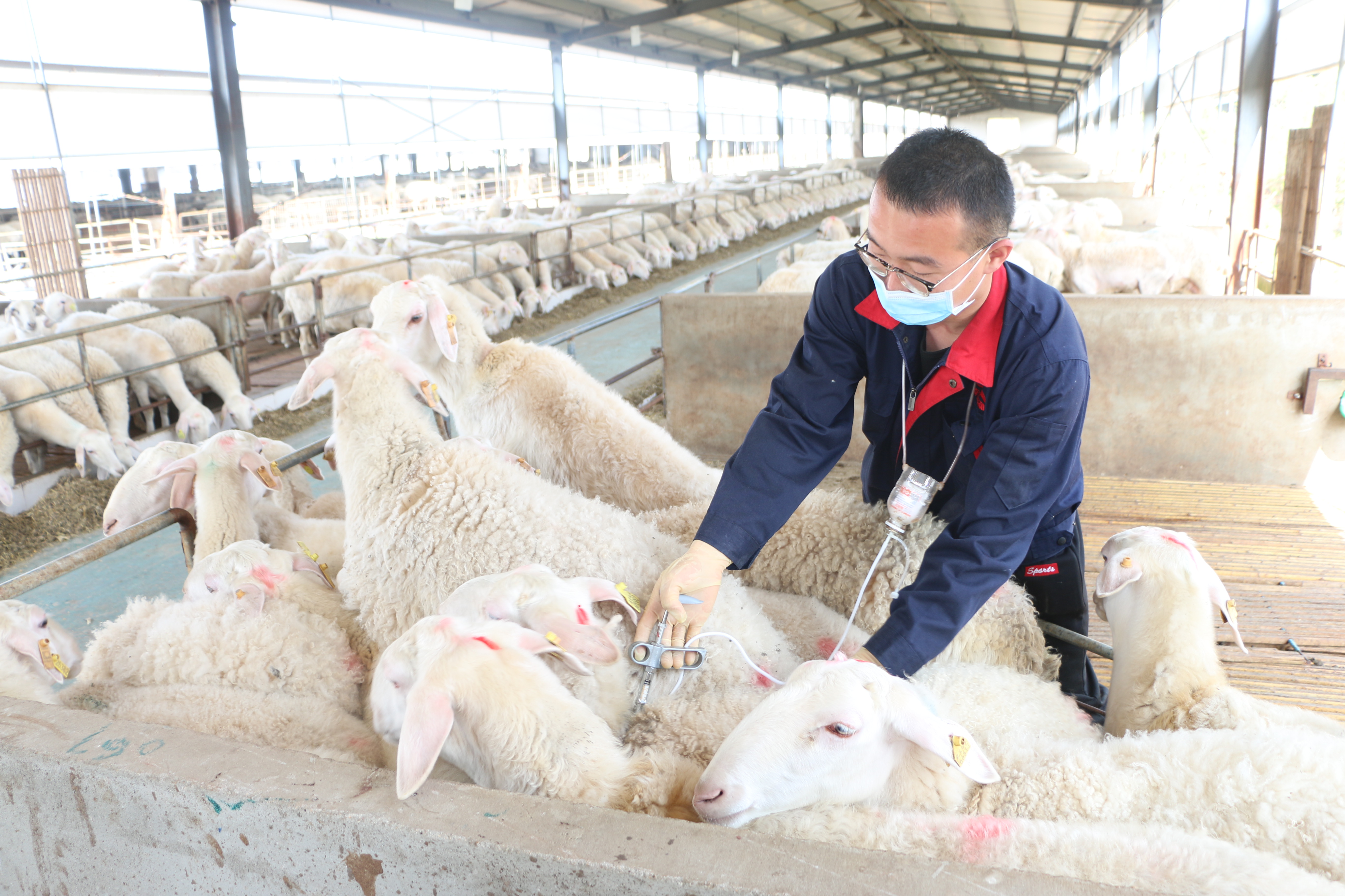 0e5297ea1a0c69163e649c4f426fc68.jpg 0e5297ea1a0c69163e649c4f426fc68.jpg