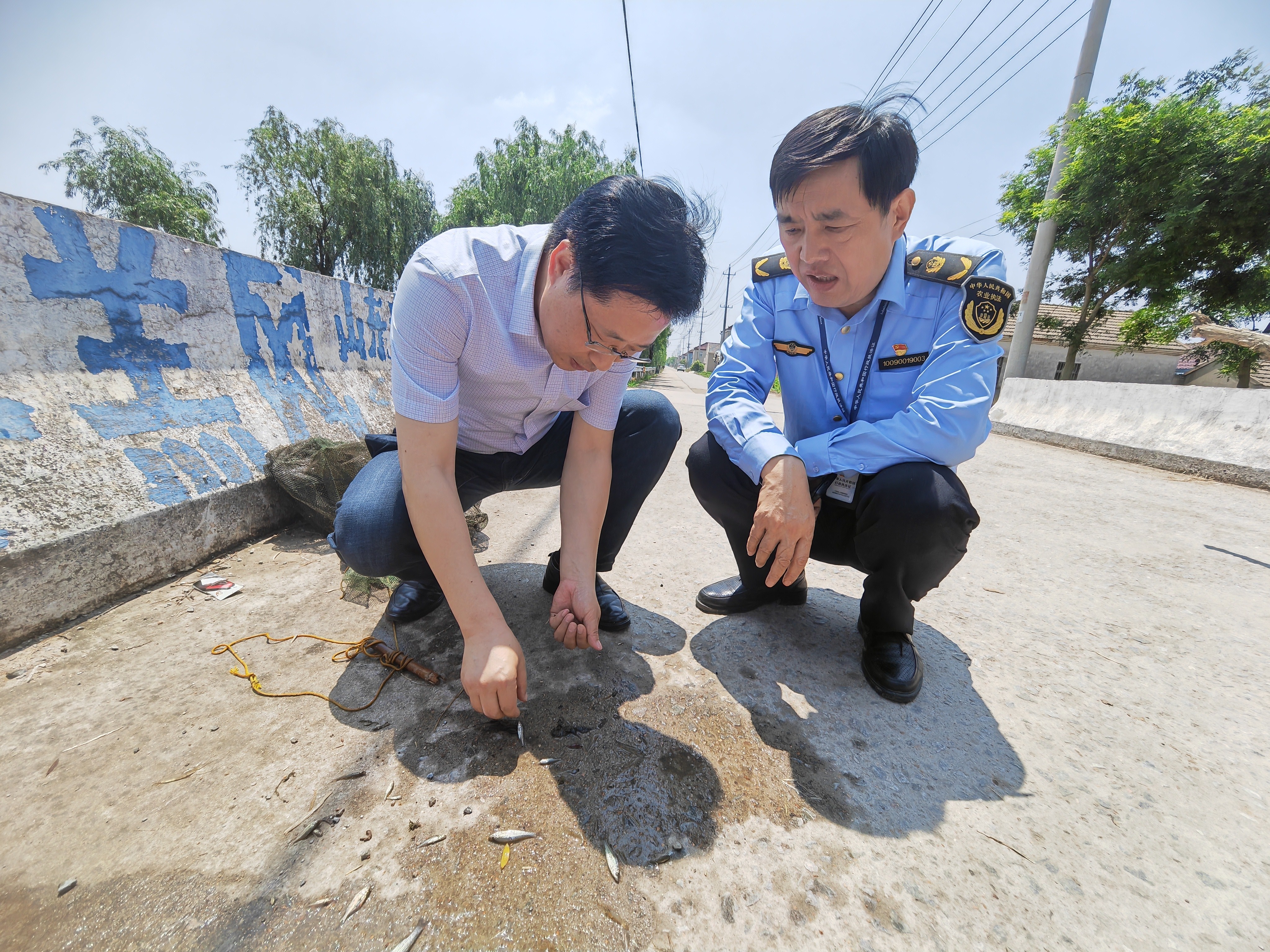 市政府办副主任施兴华深入镇村开展清非禁违暗访督查