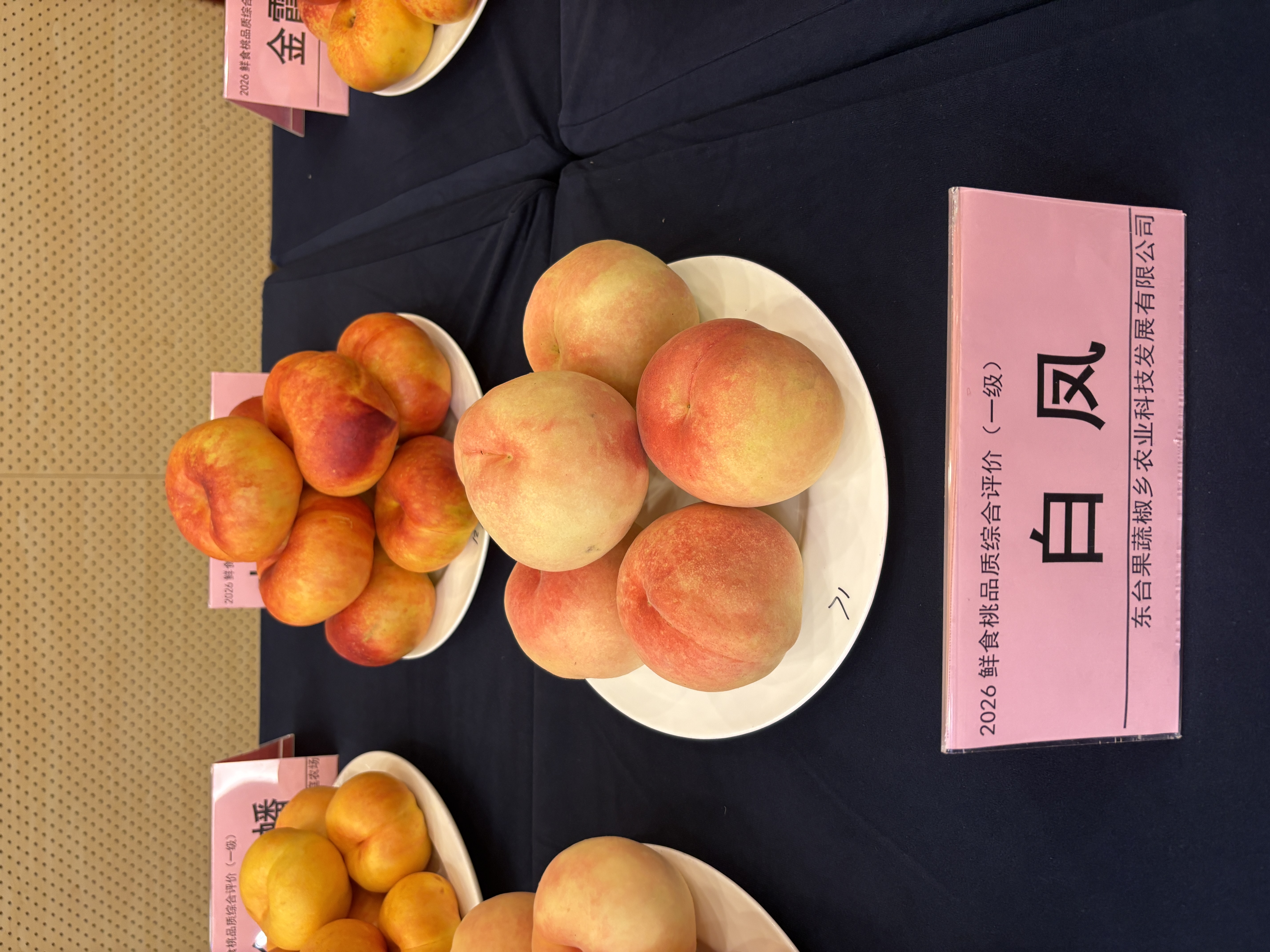 一级果-白凤.jpg 一级果-白凤.jpg