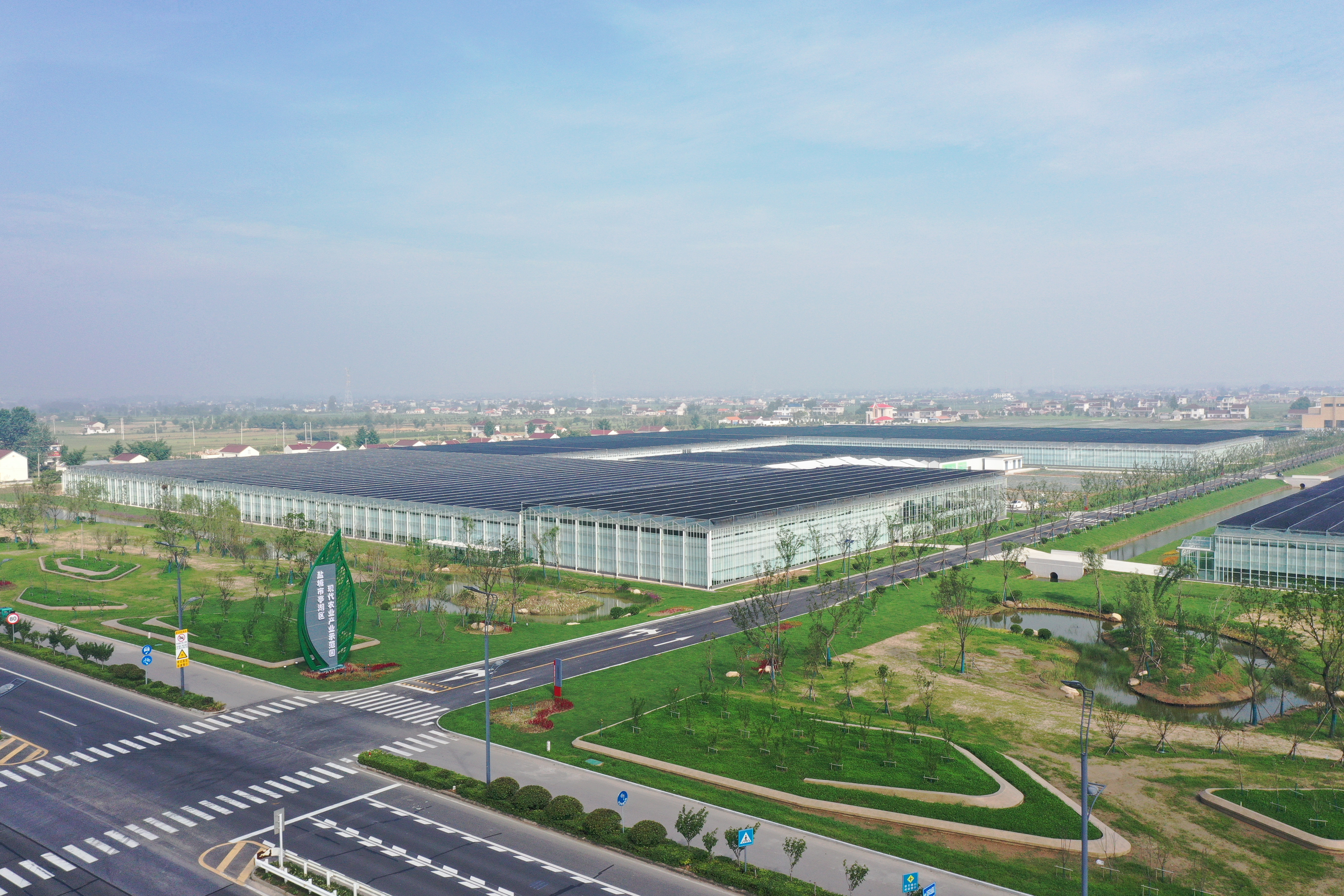 亭湖区现代农业产业示范园-航拍1.JPG
