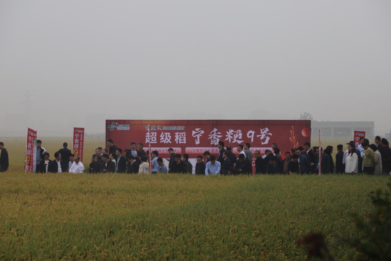 20241017001.jpg 20241017001.jpg