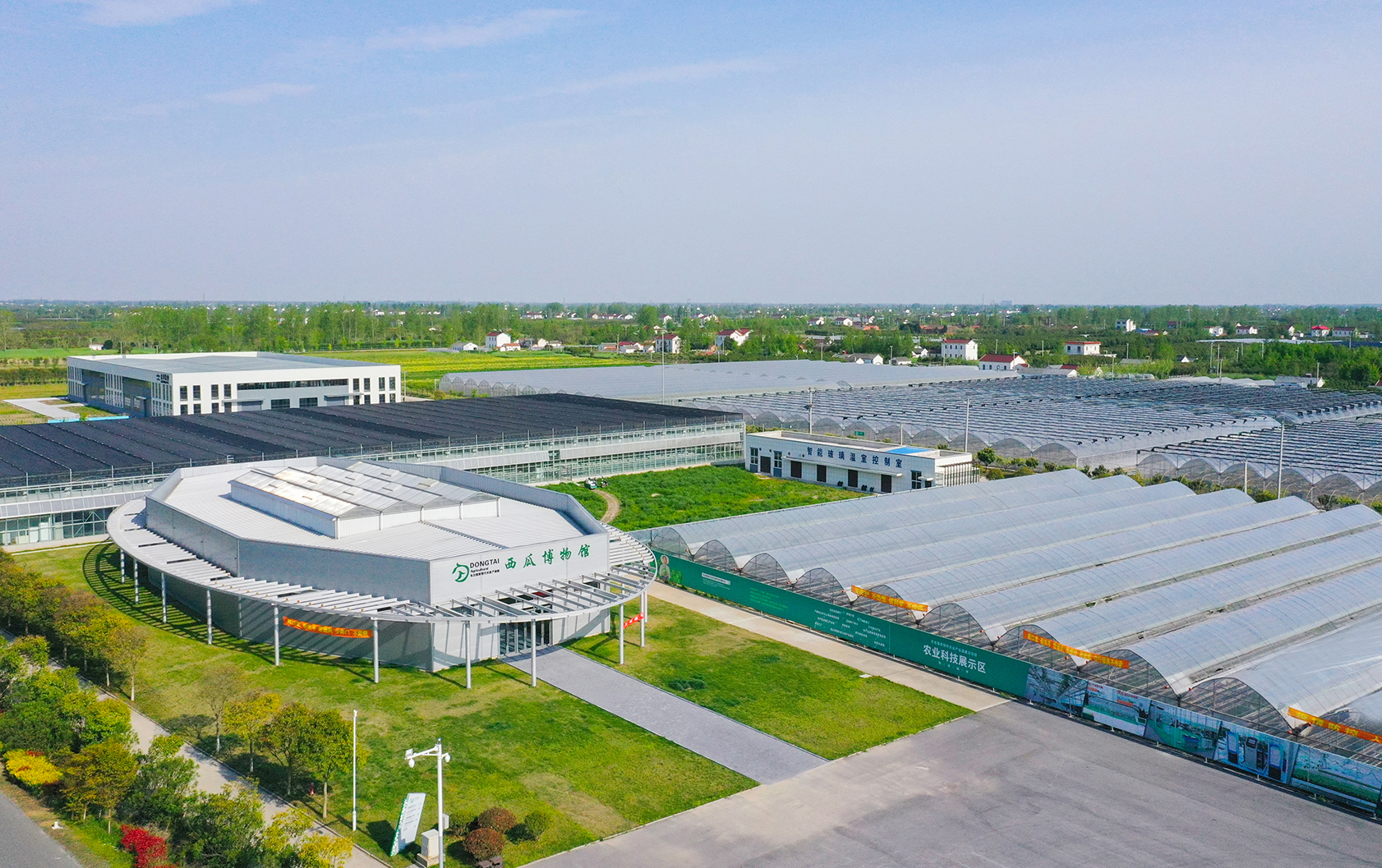 乡村振兴先进集体东台市三仓镇甜蜜产业赋能乡村振兴