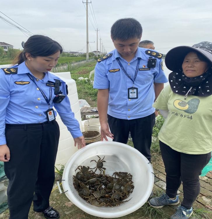 盐城水产养殖业：一条生态与经济并重的绿色之路