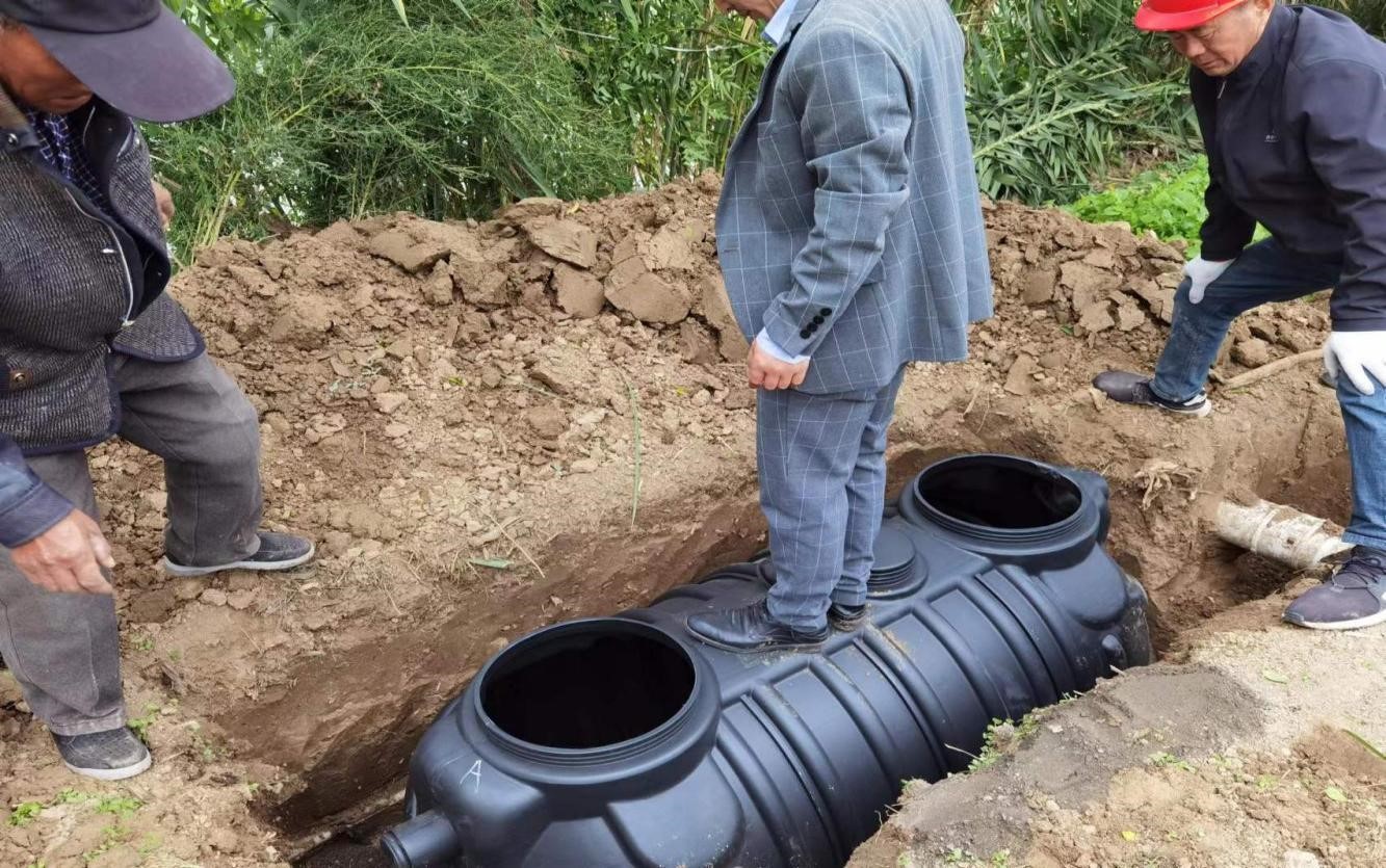 河道治理工程：守护绿色生命的源泉