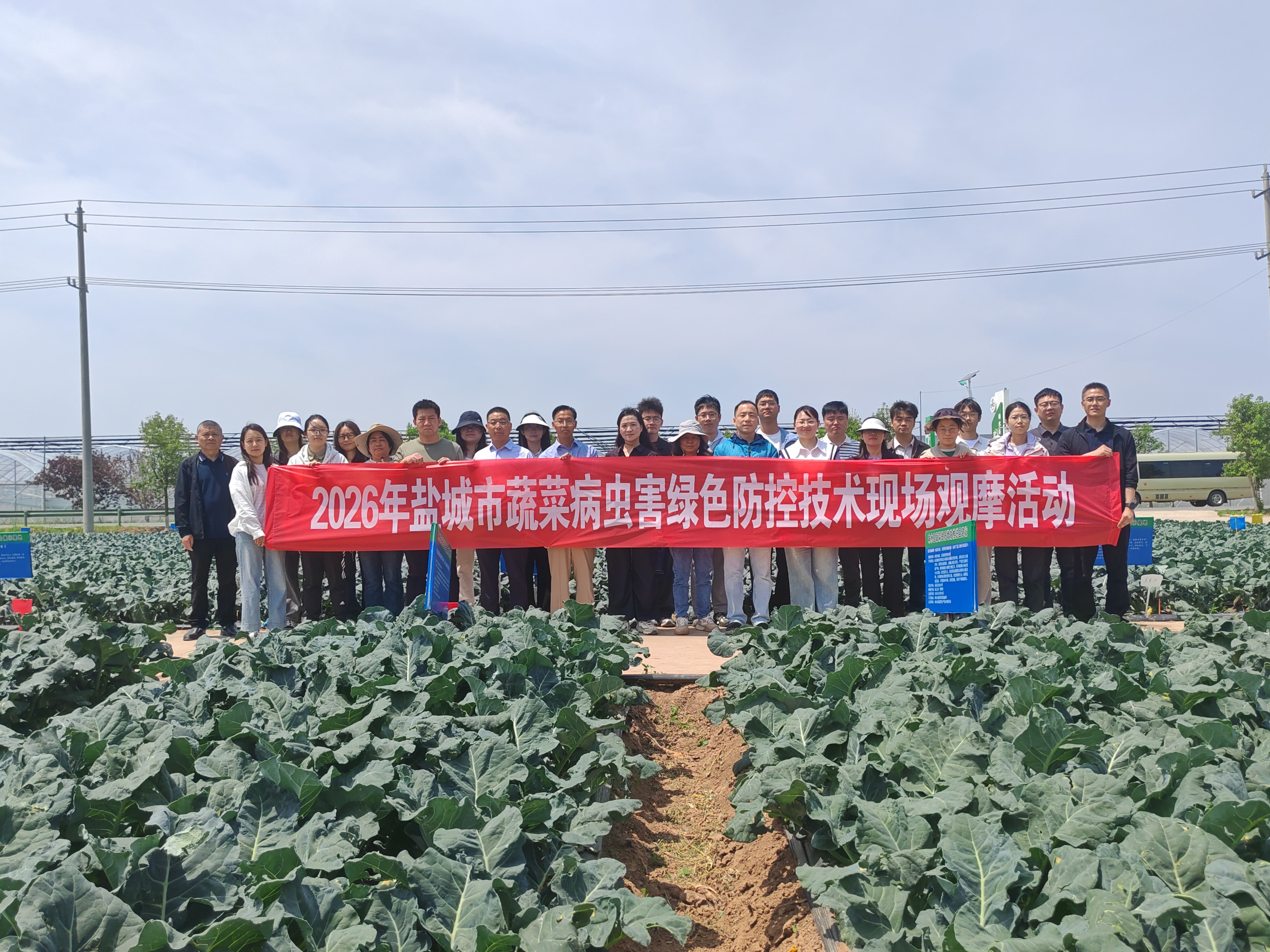 蔬菜病虫绿色防控技术与观摩活动2.jpg 蔬菜病虫绿色防控技术与观摩活动2.jpg