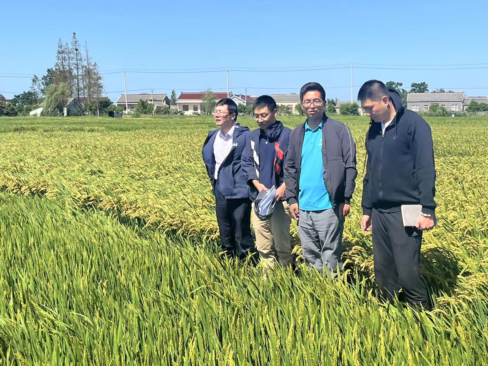 F3662606@75559B67.FC742A63.png.jpg F3662606@75559B67.FC742A63.png.jpg