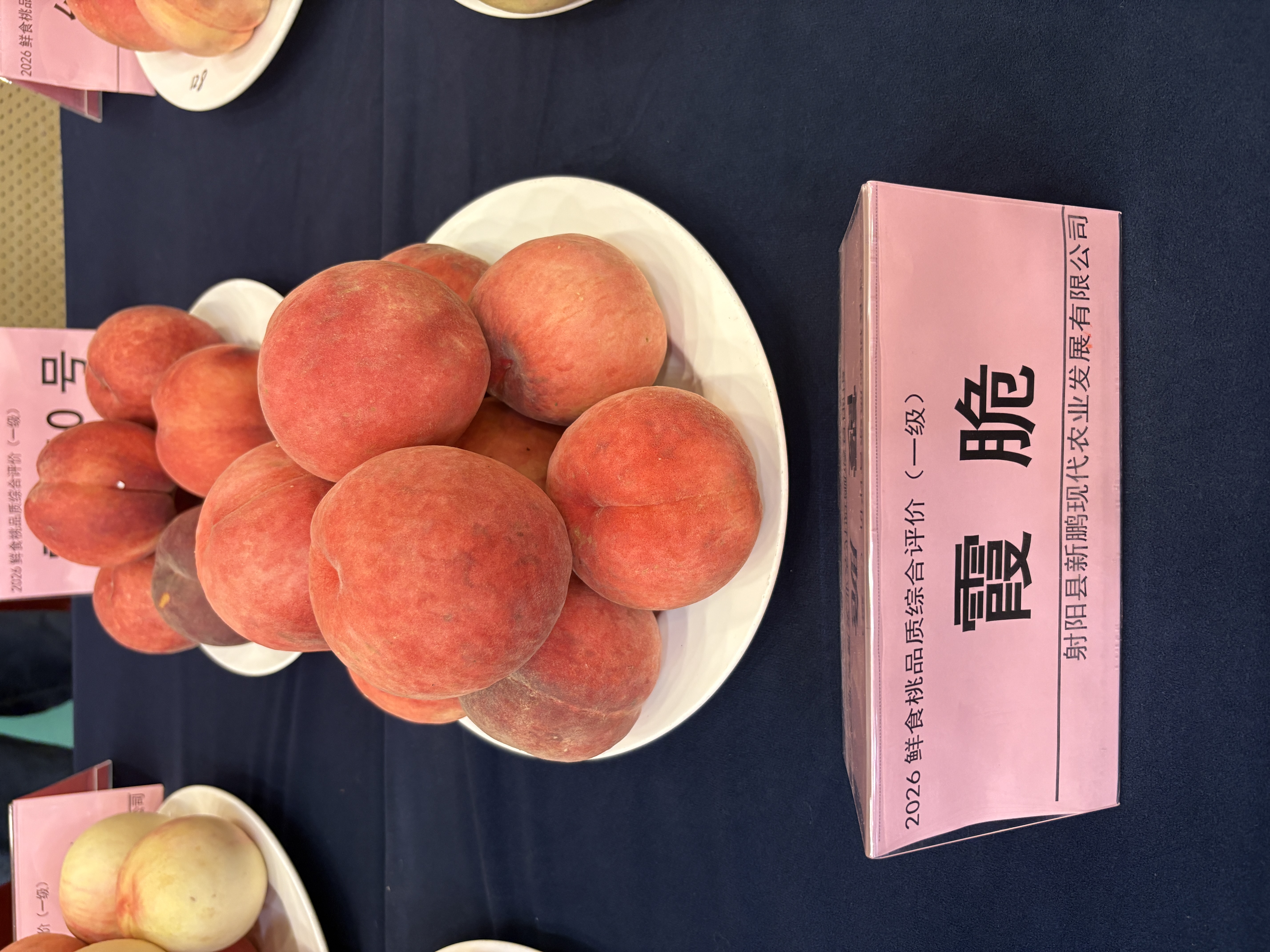 一级果-霞脆.jpg 一级果-霞脆.jpg