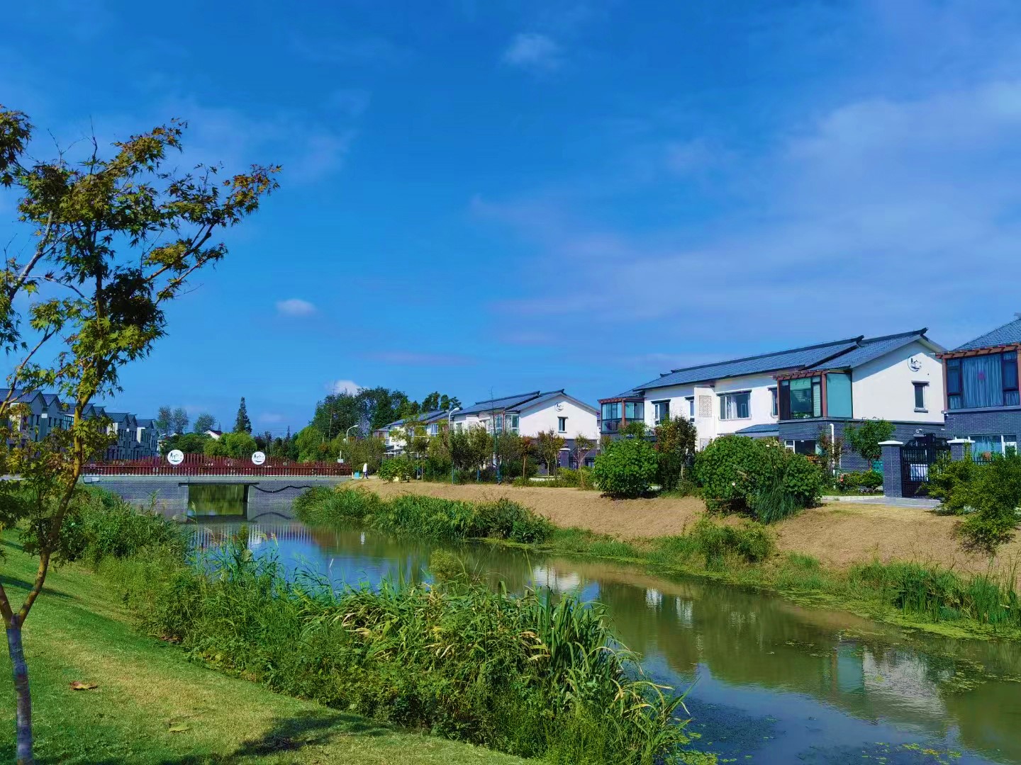 20240219004.jpg 20240219004.jpg