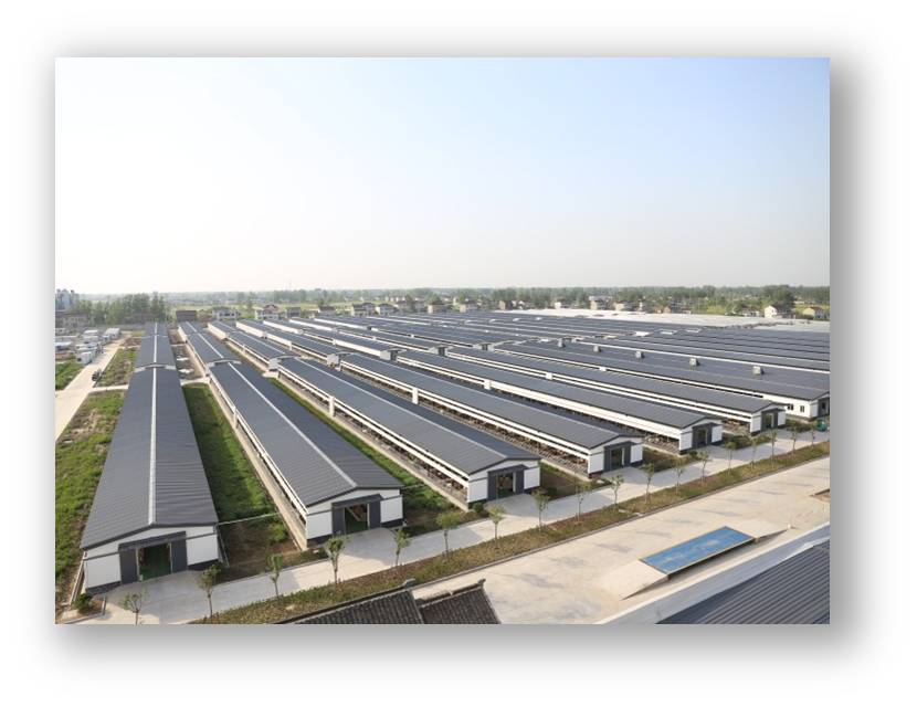 0831-2.jpg 0831-2.jpg